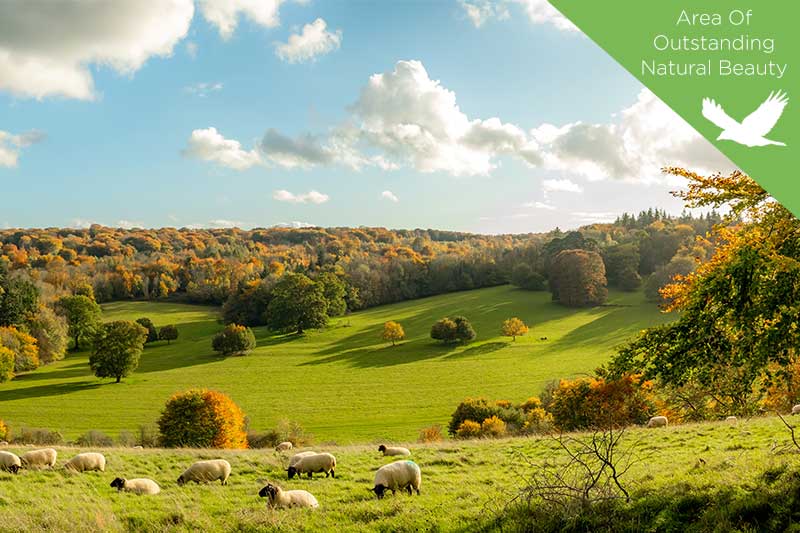 Hotels, Guest Accommodation and Self Catering in and around Surrey Hills - England on UK Tourism Online