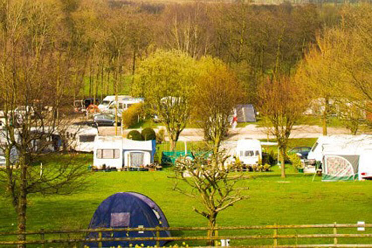 Eden Tree Caravan Park - Image 2 - UK Tourism Online