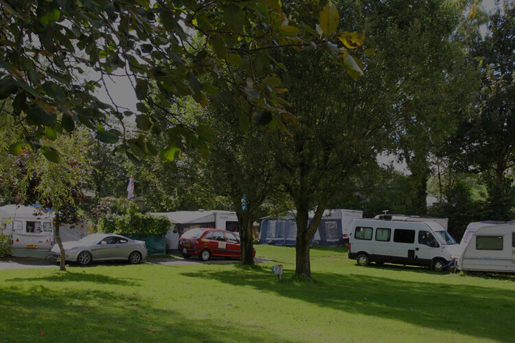 Eden Tree Caravan Park - Image 3 - UK Tourism Online