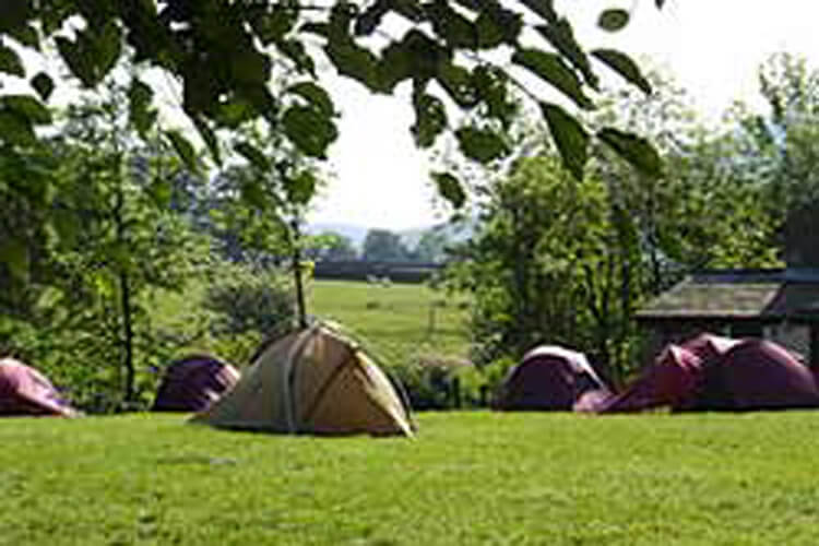 Fieldhead Campsite - Image 1 - UK Tourism Online