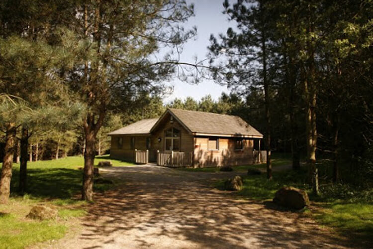 Rosliston Forestry Centre Lodges - Image 1 - UK Tourism Online
