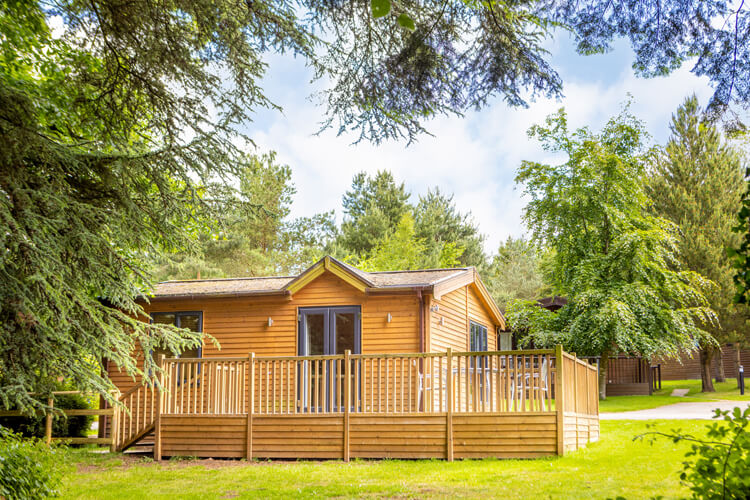 Sandybrook Luxury Lodge Holidays - Image 1 - UK Tourism Online