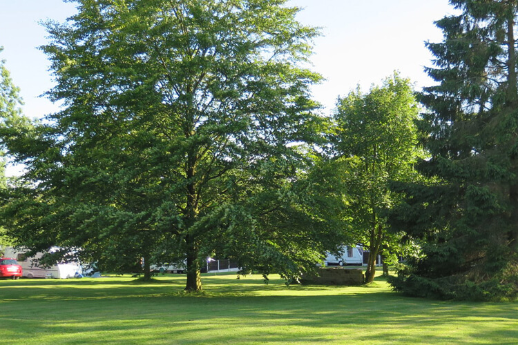 The Closes Caravan Park - Image 2 - UK Tourism Online