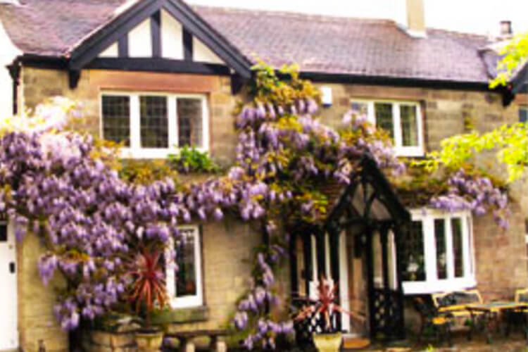 The Pines Bed & Breakfast - Image 1 - UK Tourism Online