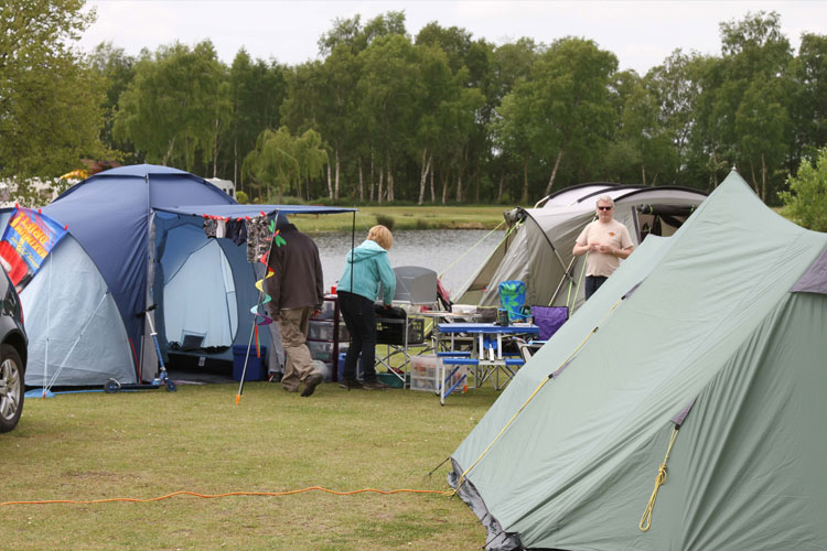 Willow Holt Caravan & Camping Park - Image 1 - UK Tourism Online