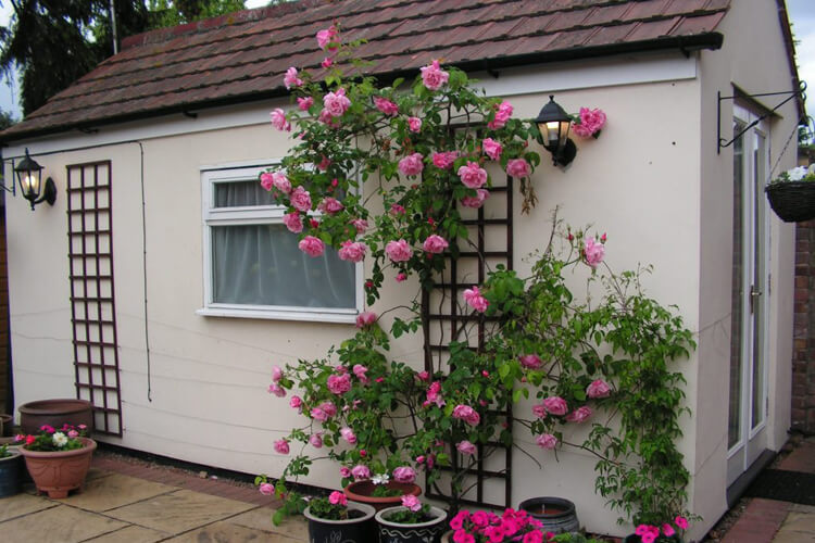 Rosas Bed and Breakfast - Image 5 - UK Tourism Online