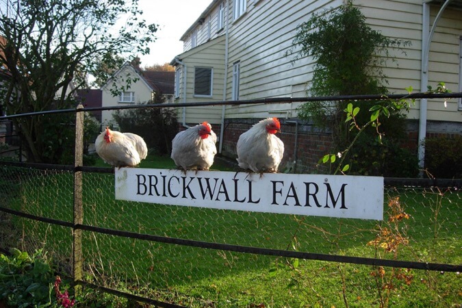 Brickwall Farm Thumbnail | Halstead - Essex | UK Tourism Online