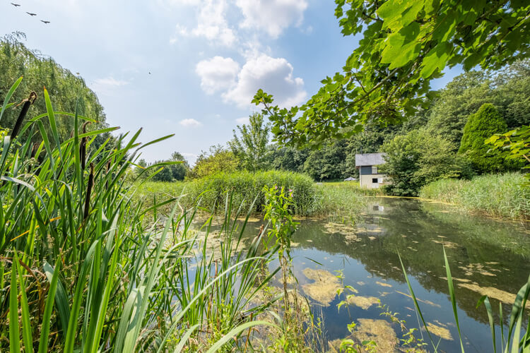 Idyllic Suffolk - Image 4 - UK Tourism Online