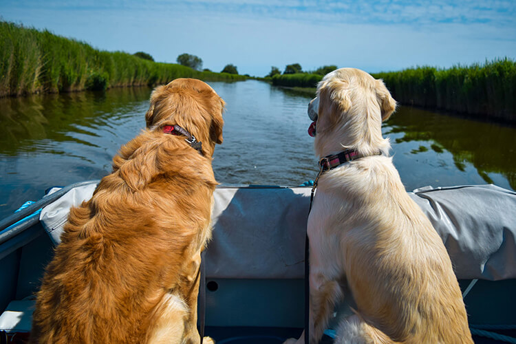 Herbert Woods Broads Holiday Adventures - Image 3 - UK Tourism Online