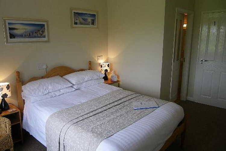 South Norfolk Guest House - Image 3 - UK Tourism Online