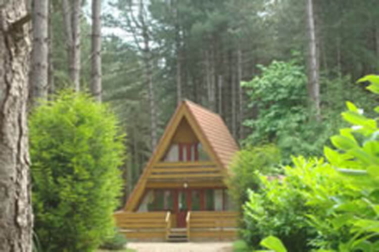 Weybourne Forest Lodges - Image 1 - UK Tourism Online