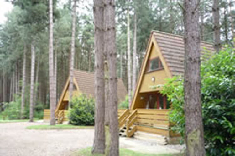 Weybourne Forest Lodges - Image 1 - UK Tourism Online