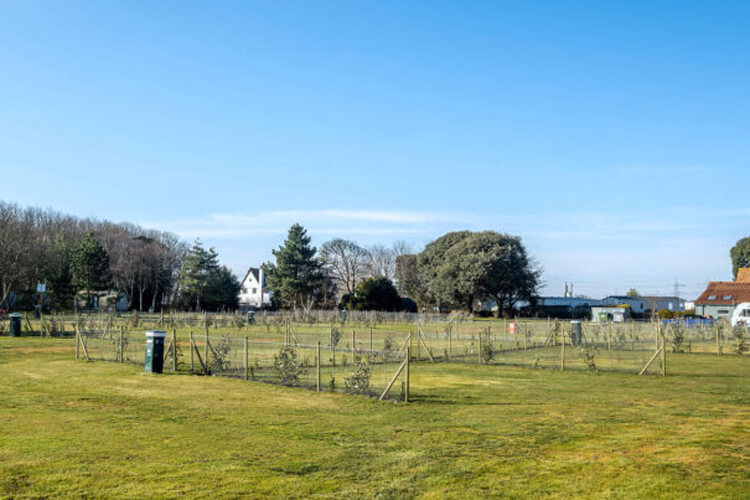 Beach View Holiday Park - Image 2 - UK Tourism Online