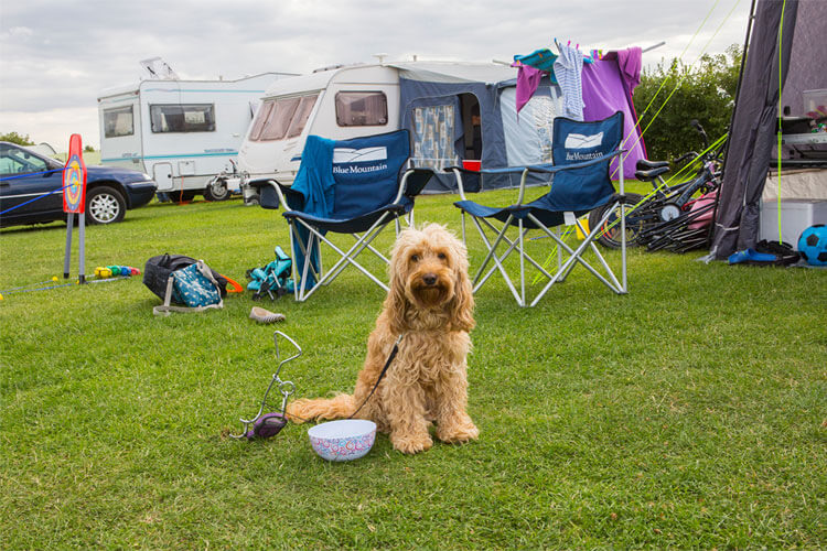 Haw Wood Farm Caravan Park - Image 3 - UK Tourism Online