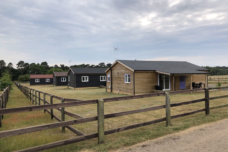 Kings Forest Caravan and Camping Park - Image 5 - UK Tourism Online