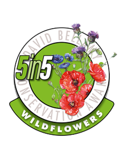 Newberry Valley Park David Bellamy 5 in 5 Wildflowers Award | UK Tourism Online