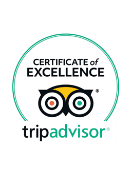 Merwerydd B&B TripAdvisor Certificate of Excellence Award | UK Tourism Online