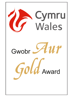 Henfaes Private Guest House Visit Wales Gold Award | UK Tourism Online