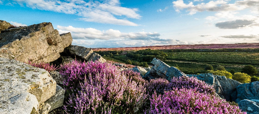 Celebrating 70 years of the North York Moors National Park post image