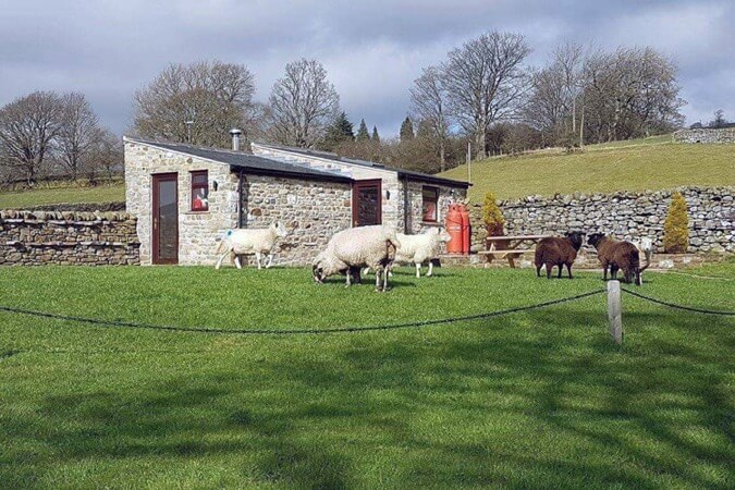 Leekworth Caravan Park Shepherds Cottage Thumbnail | Middleton-in-Teesdale - County Durham | UK Tourism Online