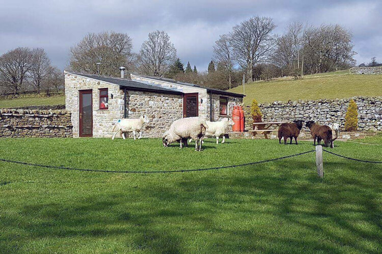 Leekworth Caravan Park Shepherds Cottage - Image 1 - UK Tourism Online