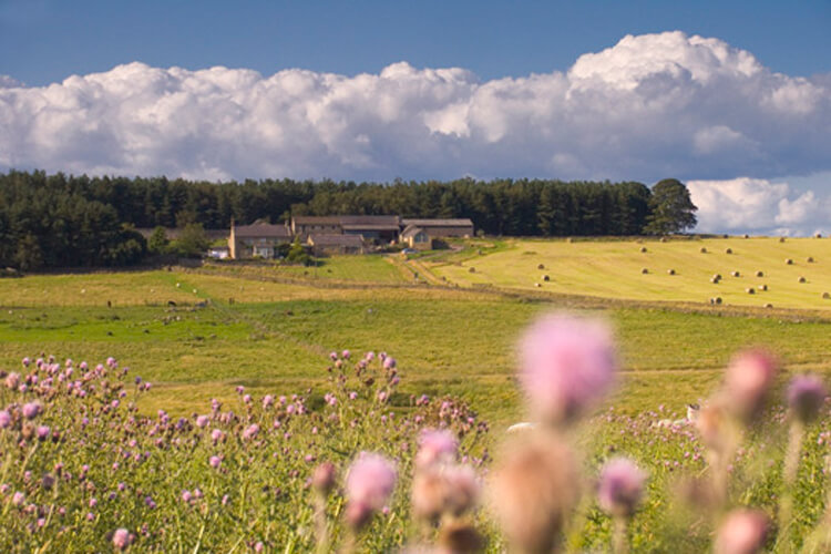 Grindon Farm - Image 1 - UK Tourism Online