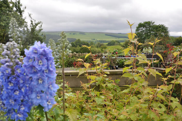 Henshaw Barn - Image 3 - UK Tourism Online