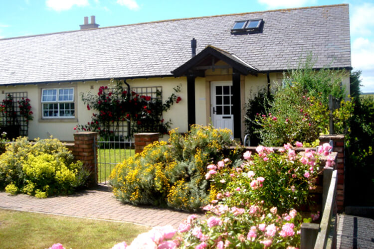 Outchester & Ross Farm Cottages - Image 1 - UK Tourism Online