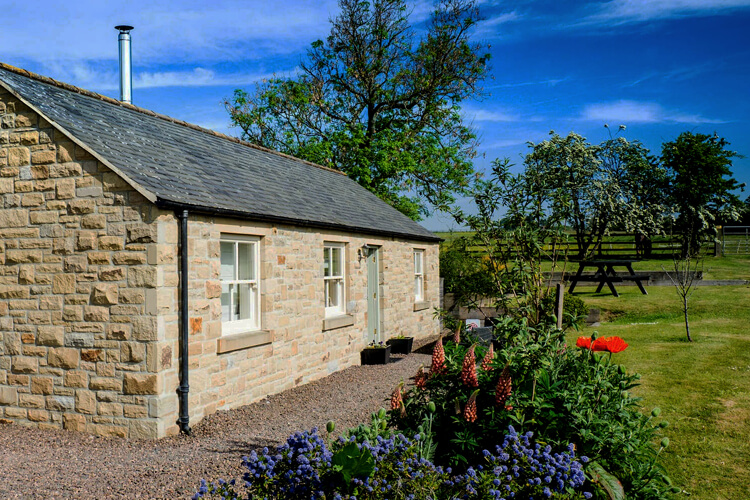 Pear Tree Cottage - Image 1 - UK Tourism Online