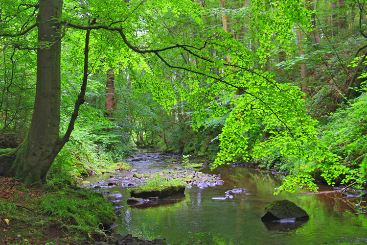 Shepherds Dene Retreat House - Image 3 - UK Tourism Online