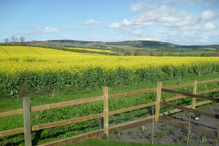 The Shepherds Hut - Image 5 - UK Tourism Online