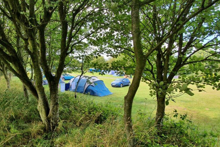 Waren Caravan and Camping Park - Image 1 - UK Tourism Online