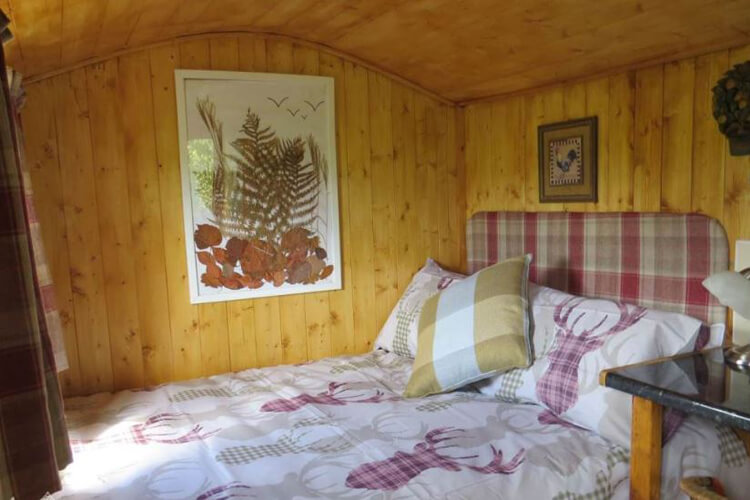 Lower Hall Glampsite - Image 2 - UK Tourism Online