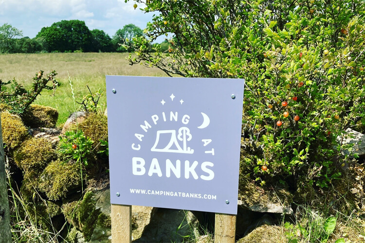 Camping at Banks - Image 1 - UK Tourism Online