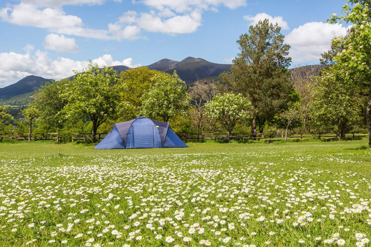 Castlerigg Hall Caravan, Camping & Glamping Park - Image 3 - UK Tourism Online