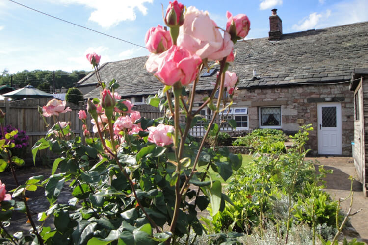 Foxglove Cottage - Image 1 - UK Tourism Online