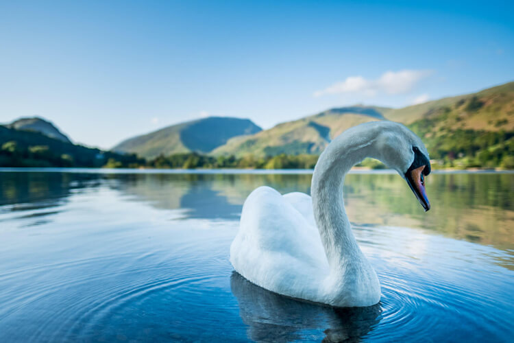 Grand At Grasmere - Image 5 - UK Tourism Online