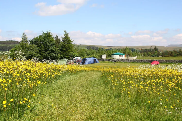 Low Greenside Farm Camping and Glamping - Image 1 - UK Tourism Online