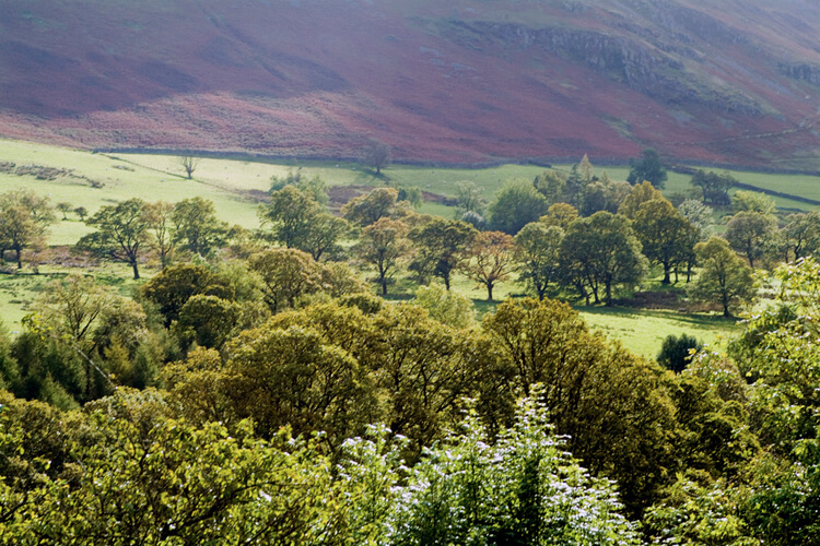 The Mouse House - Image 5 - UK Tourism Online