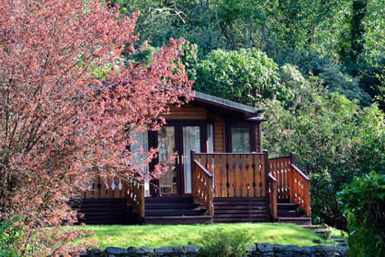 Newby Bridge Country Caravan Park - Image 1 - UK Tourism Online