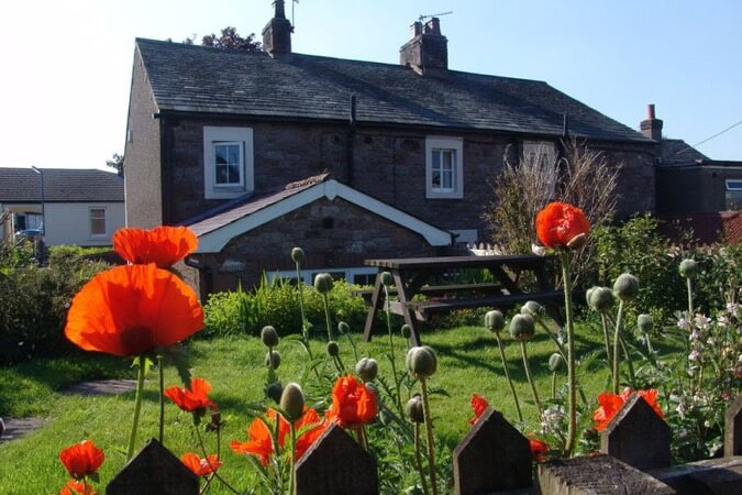 Poppy Cottage Thumbnail | Wigton - Cumbria and The Lake District | UK Tourism Online