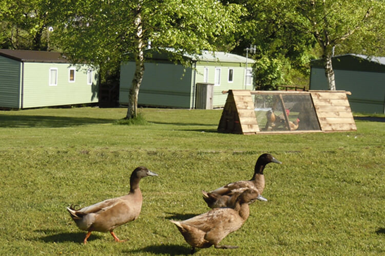 Setmabanning Caravan Park - Image 3 - UK Tourism Online