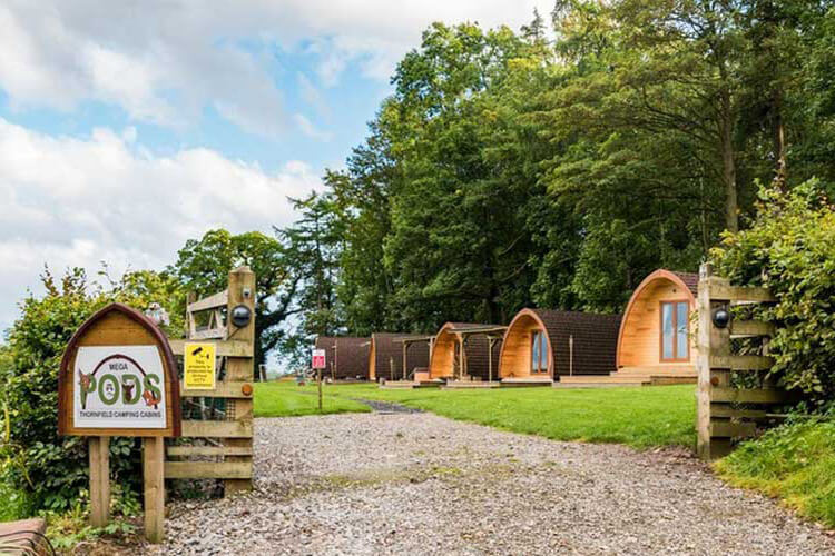 Thornfield Camping Cabins - Image 1 - UK Tourism Online