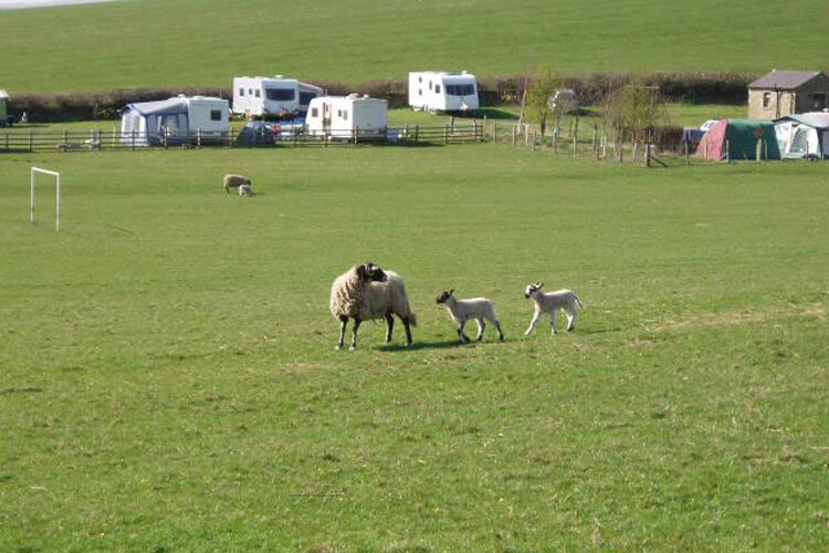 Gallaber Farm Caravan Park - Image 2 - UK Tourism Online