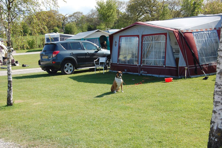 Royal Umpire Caravan Park - Image 3 - UK Tourism Online