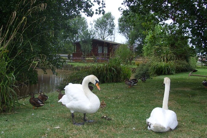 Swans Rest Holiday Cottage Thumbnail | Poulton le Fylde - Lancashire | UK Tourism Online