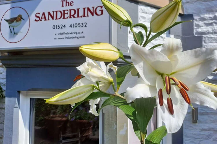 The Sanderling Hotel - Image 1 - UK Tourism Online
