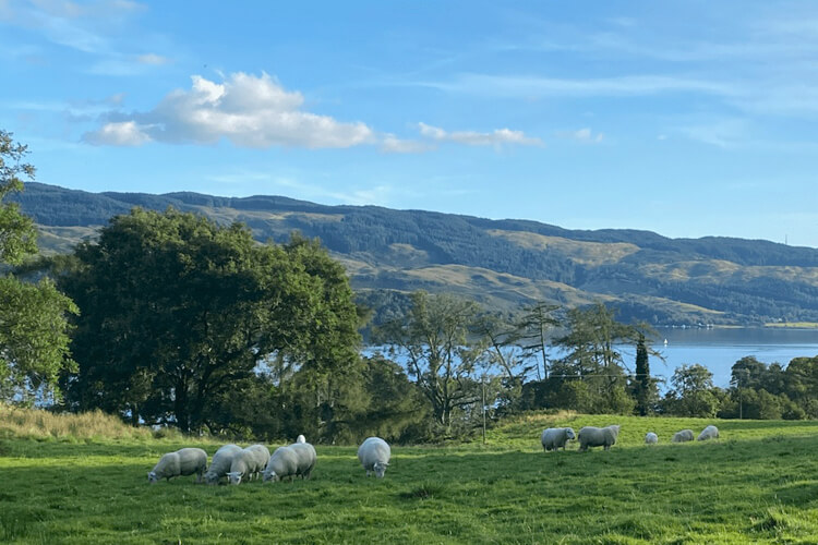 Crosple Cottage - Image 5 - UK Tourism Online