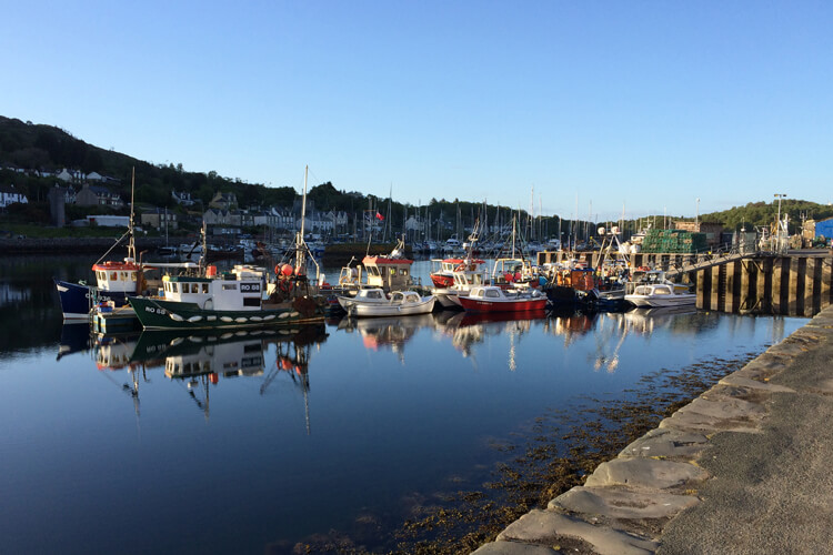 Harbour View Bed and Breakfast - Image 1 - UK Tourism Online