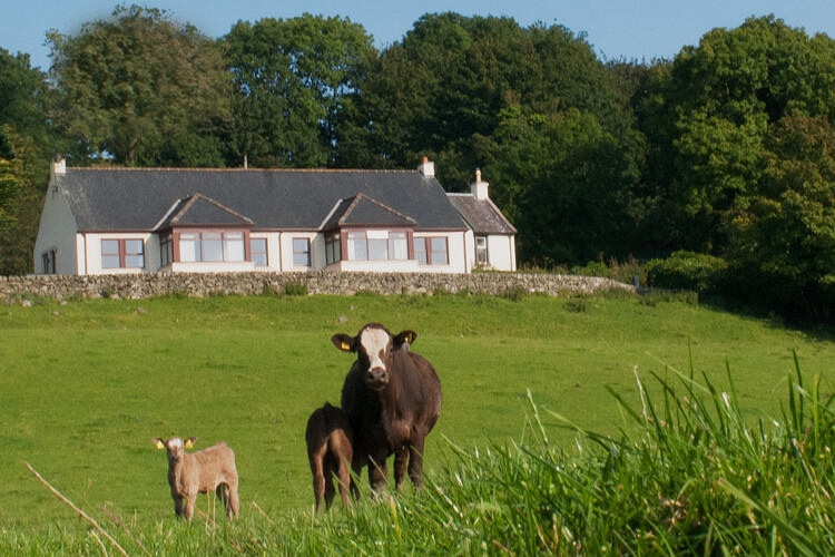 Spittal Cottages - Image 1 - UK Tourism Online